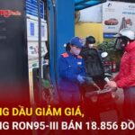 b537661b3e55d70b8e44