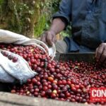 119a151b3952d00c8943