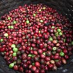 465534cd0684efdab695