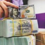 487ad8c6eb8f02d15b9e