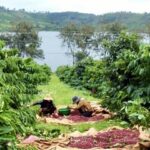 62780b392470cd2e9461