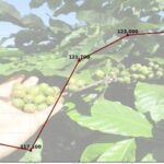 6b0145d56a9c83c2da8d