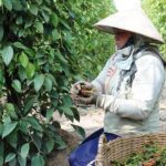 76b801ef2ca6c5f89cb7