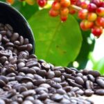 7b171063222acb74923b