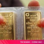 7de3733f5e76b728ee67