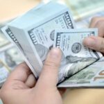 831dc539ea70032e5a61