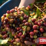 b3710ed23d9bd4c58d8a