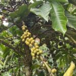 b3fd450e6a478319da56