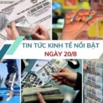 c244365e0417ed49b406