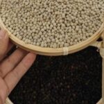 dde4ea73c63a2f64762b