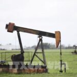 e4bfae06834f6a11335e