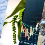 f7db7ccc5085b9dbe094