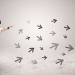 0042a0e1daa833f66ab9