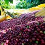 016520b33ffad6a48feb