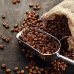 04a9e1b190f879a620e9