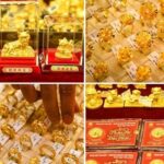 05717c666c2f8571dc3e