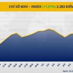 05e023083541dc1f8550