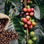 08aaf681f2c81b9642d9