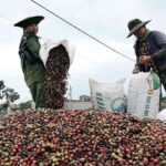 08b4851a9b53720d2b42