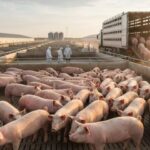 08dadbc1df8836d66f99