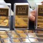 095bb669a6204f7e1631