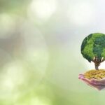 09c32dc82d81c4df9d90