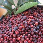 0a7de360e7290e775738