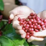 0a9df676f43f1d61442e