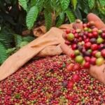 0d672af851b1b8efe1a0