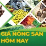 0e346f27636e8a30d37f