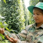 0f1392bd9cf475aa2ce5