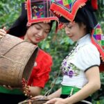 107508751f3cf662af2d