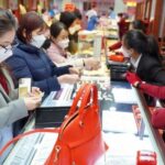 13e3ebe59cac75f22cbd