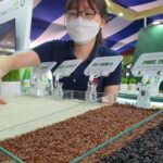 155fae0abf43561d0f52