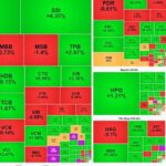 17622c7f0636ef68b627