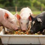 18894c57551ebc40e50f