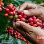 19493d73483aa164f82b