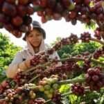 197f9cf285bb6ce535aa