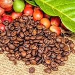 1b7da1dddc9435ca6c85