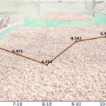 1c6312e913a0fafea3b1