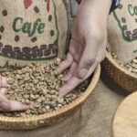 1d3c91adede404ba5df5