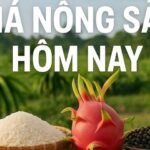 1f0cc9f2d4bb3de564aa