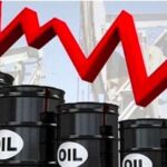 205fb722036bea35b37a