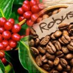 2312ba74bd3d54630d2c