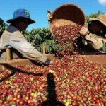 2551beecd2a53bfb62b4