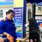 26a79dceed8704d95d96