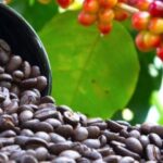 274db8e0baa953f70ab8