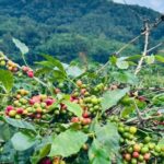 27d9055d7e14974ace05