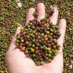 28c652ca4983a0ddf992