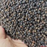 303a02412808c1569819